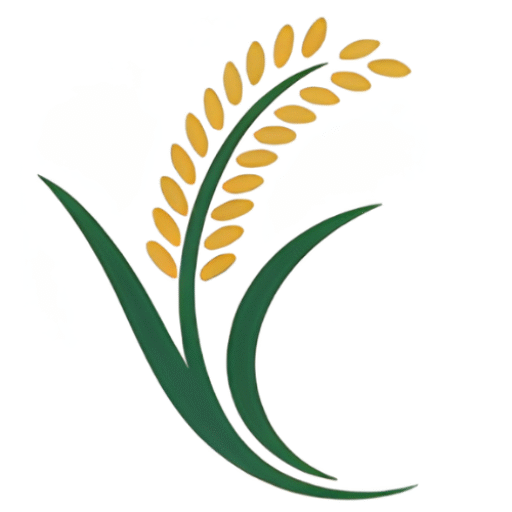 cropped-Untitled-160-x-160-px-2